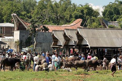 Rantepao Weekly market