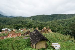 Roworena village in Ende