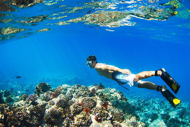 Scuba Diving at Komodo Island