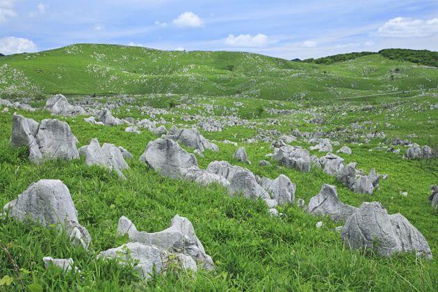 Akiyoshidai-Kitakyushu-shore-excursions