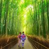 Arashiyama-Bamboo-Forest-Kyoto-shore-excursions