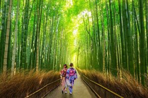 Arashiyama-Bamboo-Forest-Kyoto-shore-excursions
