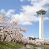 Goryokaku-Tower-in-Hakodate-shore-excursions