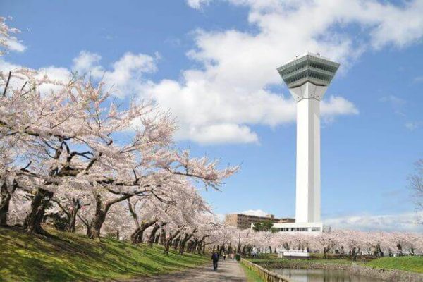 Goryokaku-Tower-in-Hakodate-shore-excursions