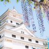 Karatsu-highlights-shore-excursions