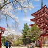 Kiyomizu-dera-Temple-Kyoto-highlight