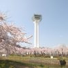 Goryokaku Tower & Park