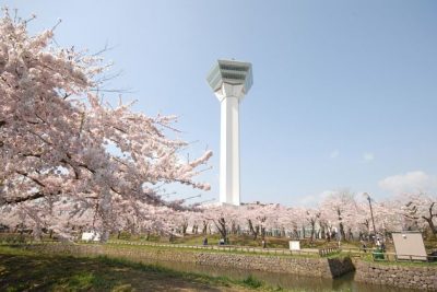 Goryokaku Tower & Park