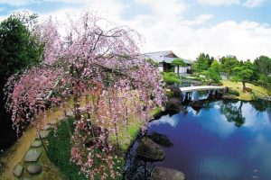 Kokoen Garden - Kobe shore excursions