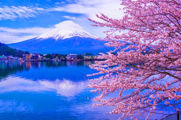 Mount Fuji - Sakura Hanami Spots in Japan