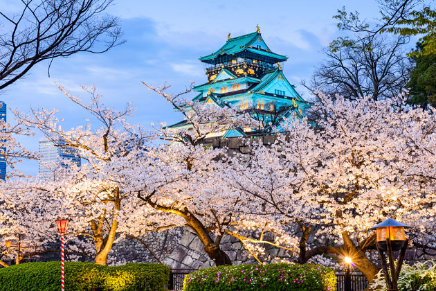 Osaka castle - Sakura Hanami Spots in Japan