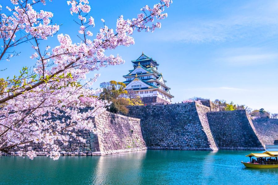 Osaka cherry blossoms