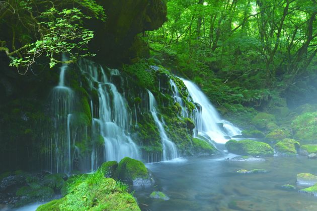 Kuwanoki Falls - Shingu shore excursions