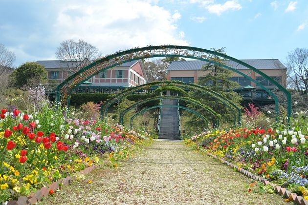 Monet flower Garden Marmottan - Kochi Japan shore excursions