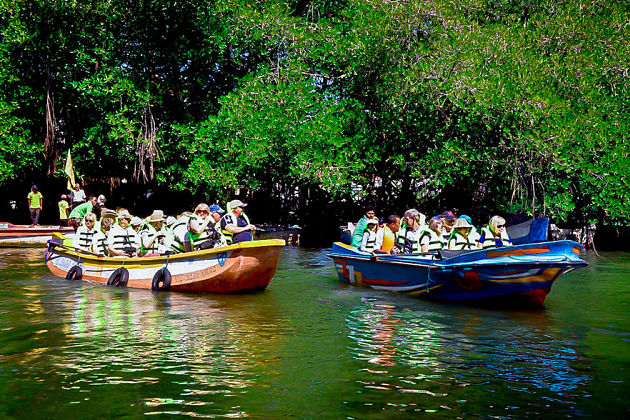 Madu Ganga River - Colombo shore excursions