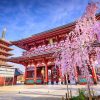 Asakusa-Sensoji-Temple-Tokyo-shore-excursions