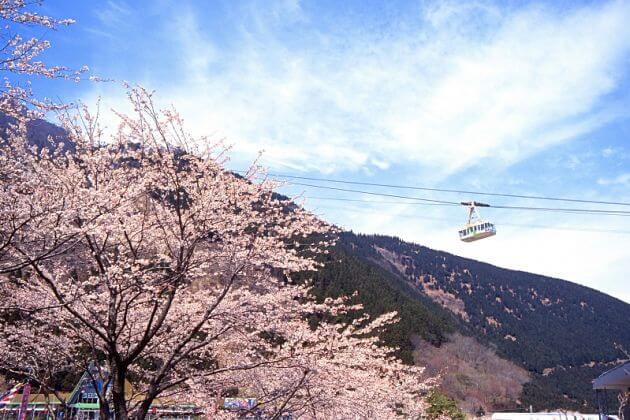 Beppu-Ropeway-Beppu-shore-excursions