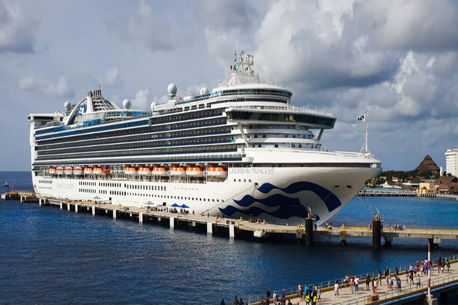 Diamond Princess Cruise Excursions 11 – 25 May 2019