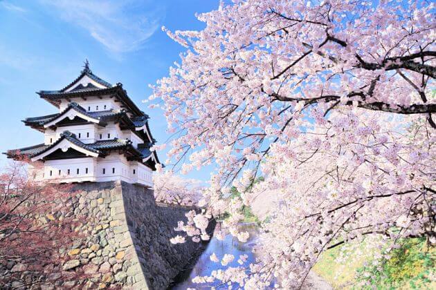 Hirosaki-Park-Aomori-shore-excursions-tours