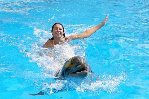 Pattaya swimming with dolphin