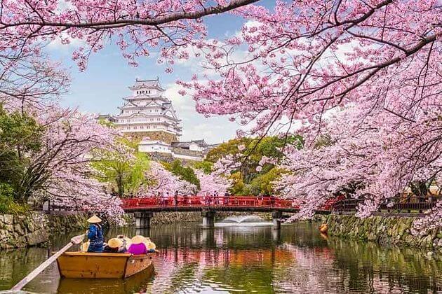 Spring-Japan-day-tours