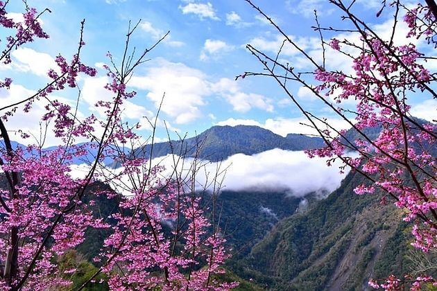 Spring-in-Taiwan-shore-excursions