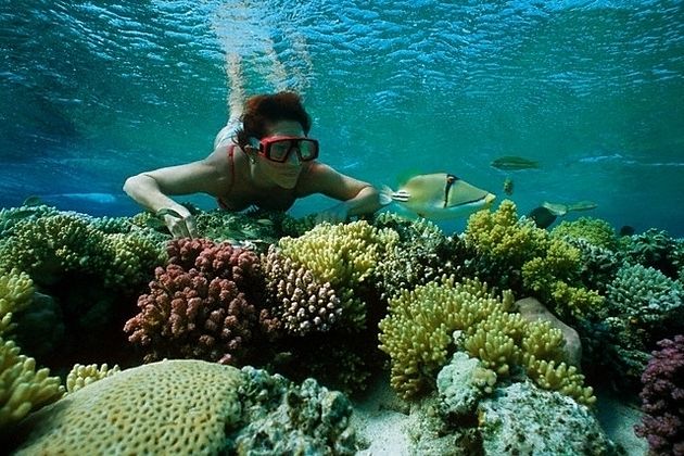 snorkeling-at-Tunku-Abdul-Rahman-National-Park