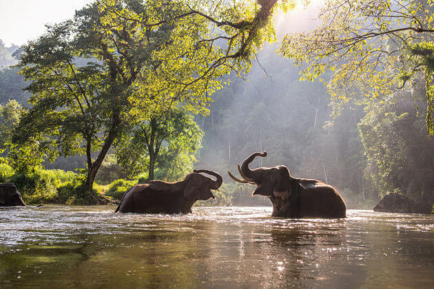 weather-in-northern-Thailand