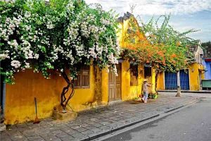 Hoi An Westerdam Cruise Nov 2019