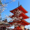 Kiyomizudera Temple Kyoto tour from Kobe port