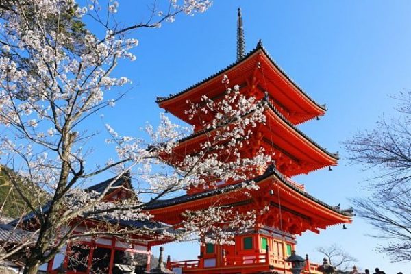Kiyomizudera Temple Kyoto tour from Kobe port
