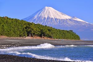 Shimizu Westerdam Cruise Oct 2019