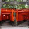 Fushimi Inari Shrine in Kobe Shore Excursion