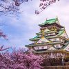 Osaka Castle in Shore Excursion