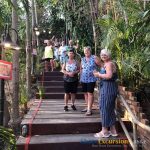 Phuket Shore Excursions Feedback