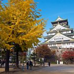 Shore Excursions in Osaka Castle