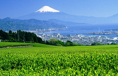 Nihon-daira Ropeway Oceania Cruise