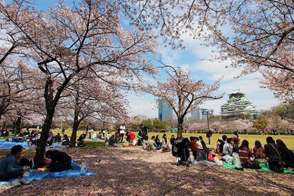 Osaka Castle Kobe Shore Excursions