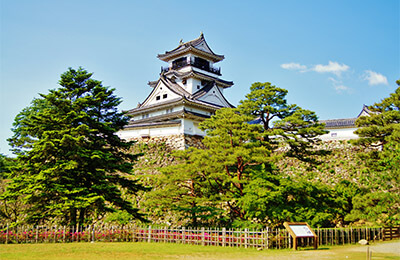 Kochi Castle Japan Shore Excursions