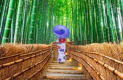 Arashiyama Bamboo Forest