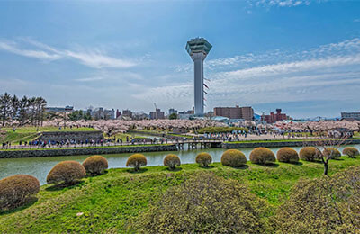 Goryokaku Park & Tower