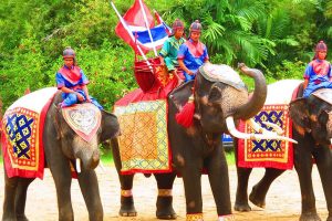 4WD Car to Thai Eco Safari Life