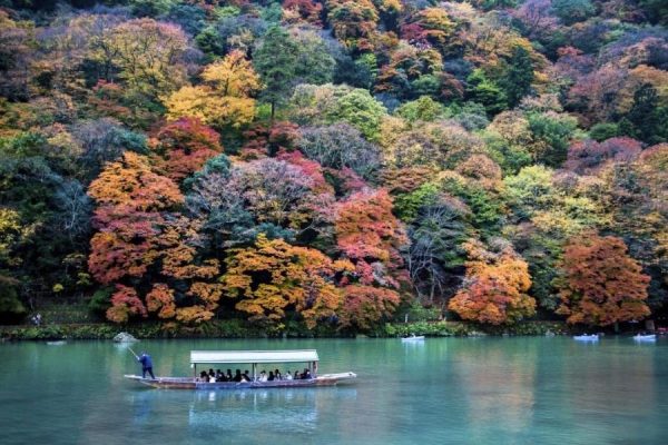 Arashiyama &  Kiyomizu-dera