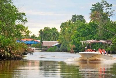 Brunei Mangrove & Watervillage Half-day Tour