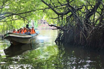Colombo City Tour – Mangrove Boat – Turtle Hatchery