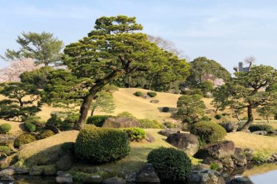 Essence of Kumamoto