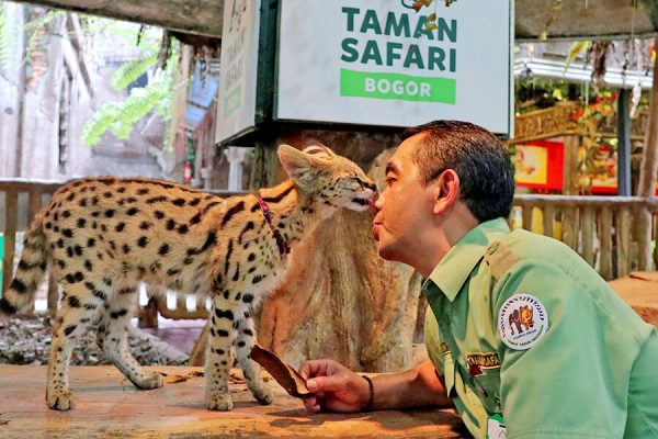 Jakarta Bogor Safari Tour