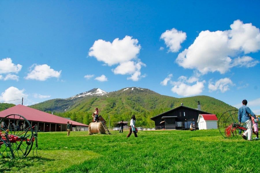 Jigokudani (Hell Valley) & Mt. Usu