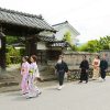 Kagoshima Samurai Residents' District - Shore Excursions