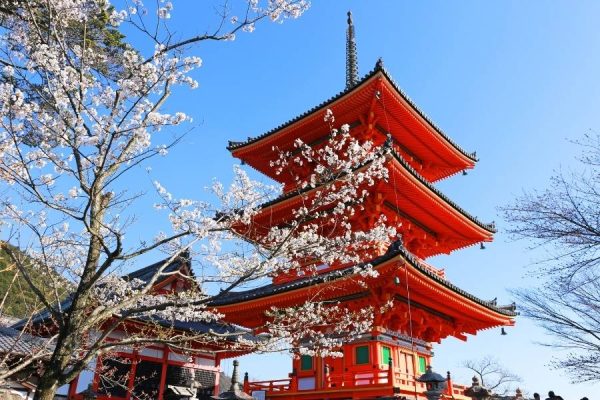 Kiyomizu-dera- Maizuru shore excursions